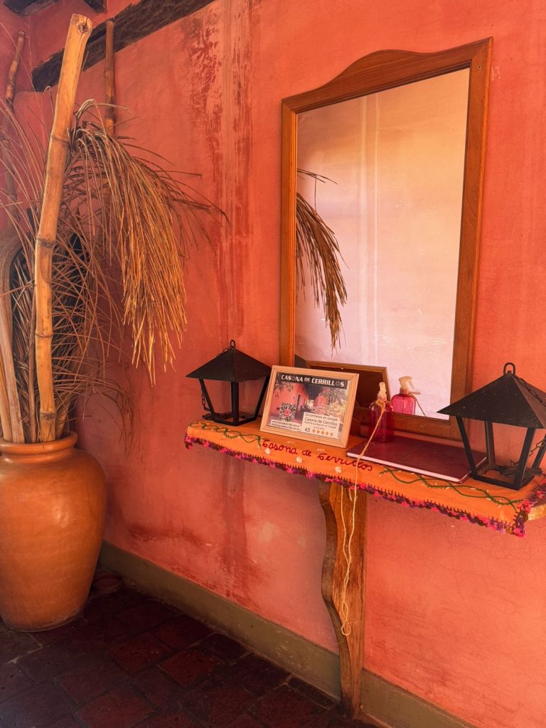 WhatsApp Image 2024-07-31 at 2.55.53 PM (1)