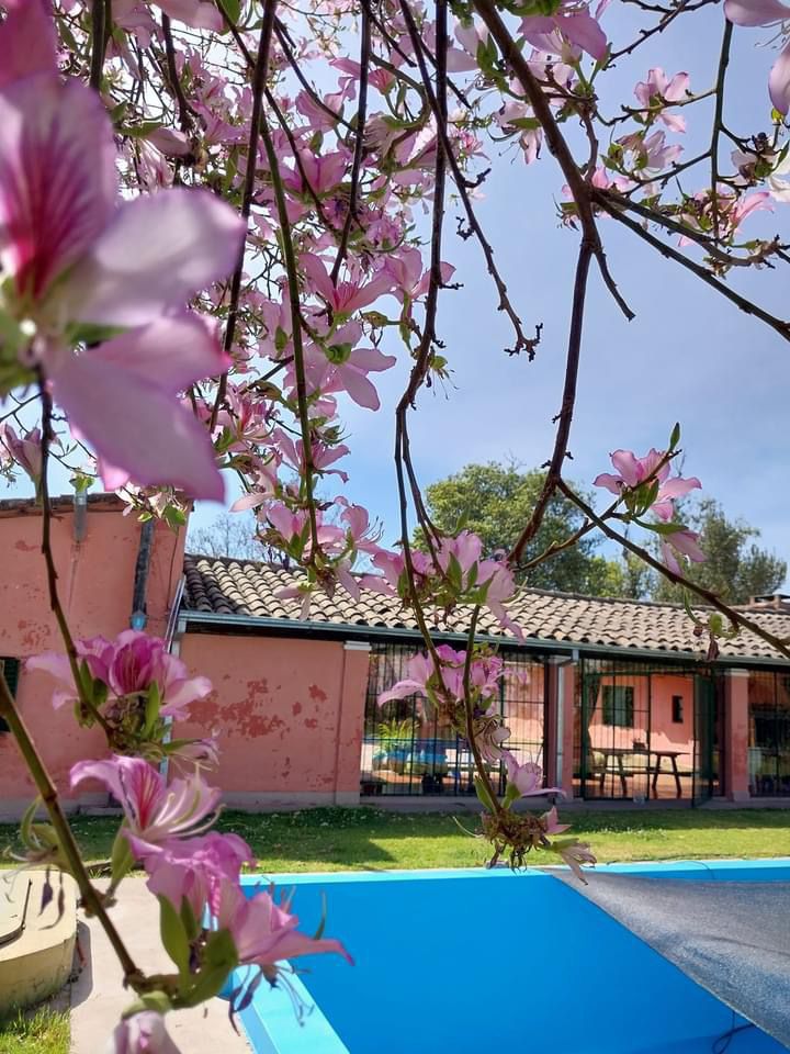 WhatsApp Image 2024-07-31 at 2.56.01 PM